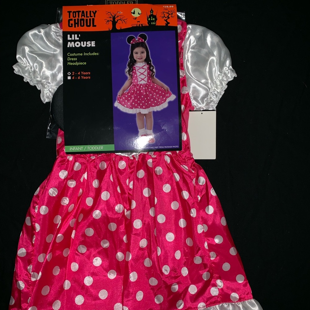 New Girl Lil Mouse Halloween Costume Size 2-4yrs